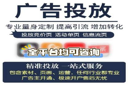 SEM投放策略优化案例分析